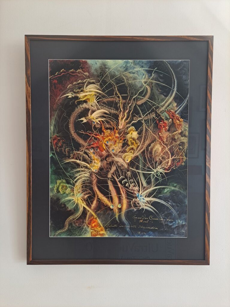 Dark Oak stain tasmanian oak picture frame