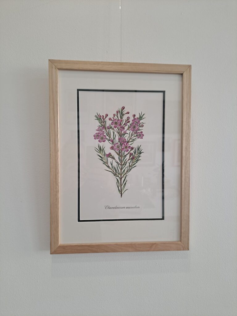Beeswax finish picture frame. Artwork by Amy Duncan printed on Canson Rag Photographique 310gsm paper