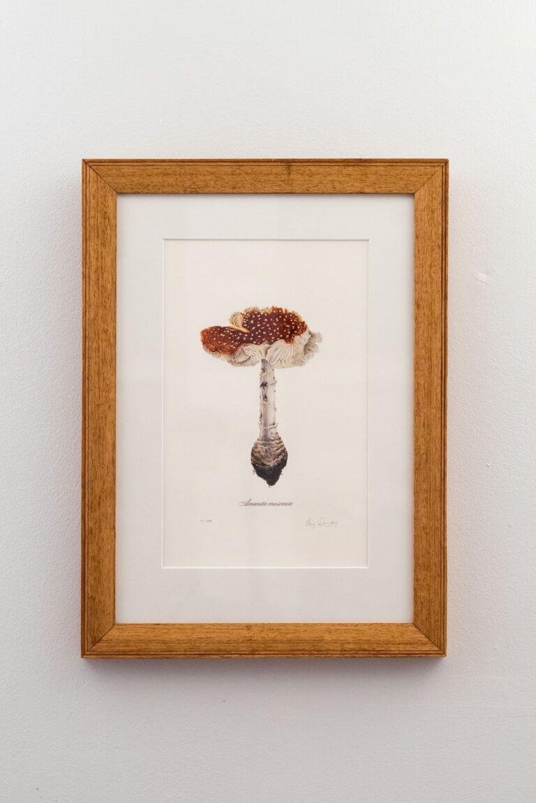 Hand carved picture frame from reclaimed timber. Print on Canson Rag Photographique 310gsm. Artwork by Amy Duncan