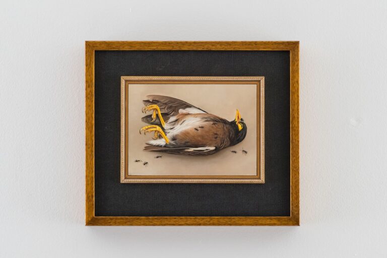 Canvas board floated on black linen with fillet and blackwood stain. Painting by Amy Duncan