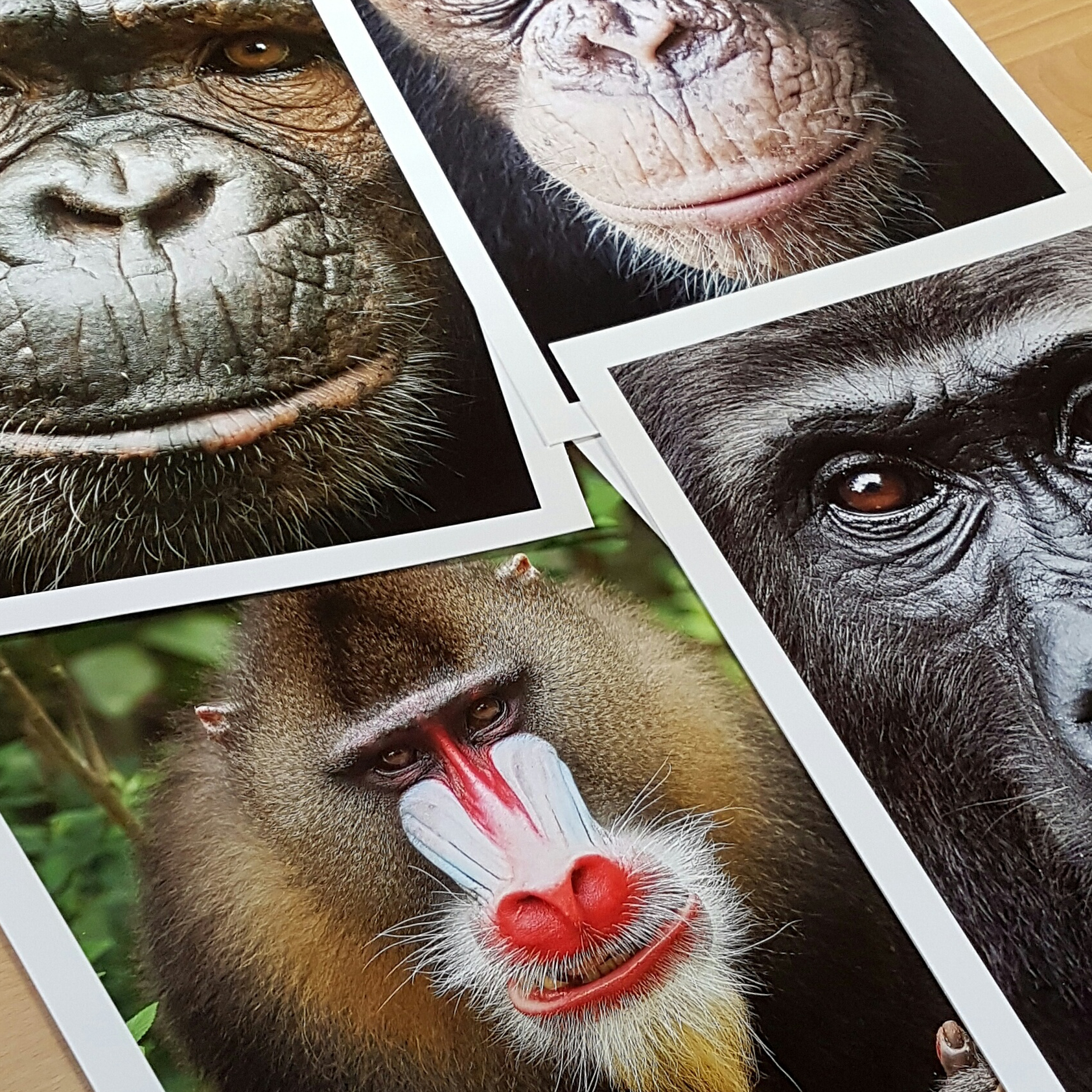 Fine Art Printing 4 Giclee printing on photographic paper