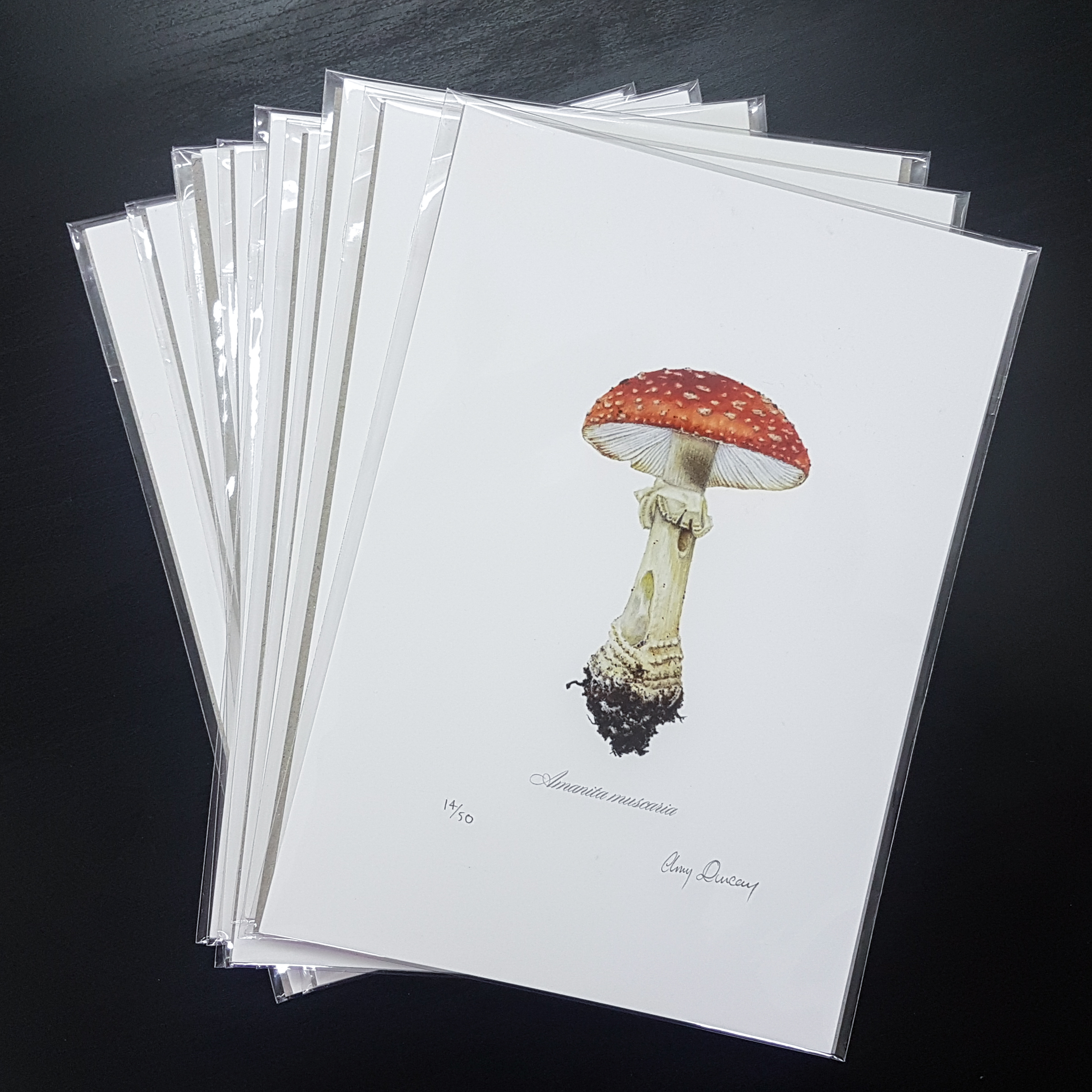 Fine Art Printing 3 giclée prints in acid-free sleeves